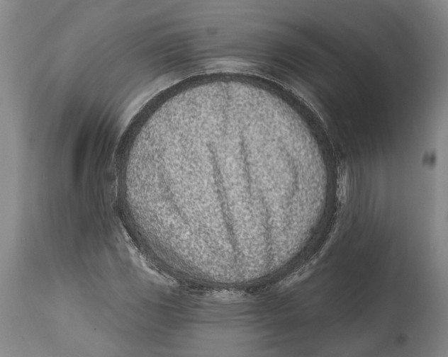 X0000115111117200911171259