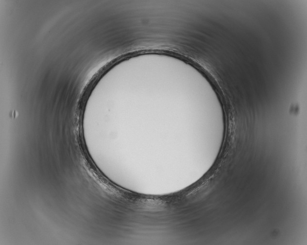 X0000115111119200911171259