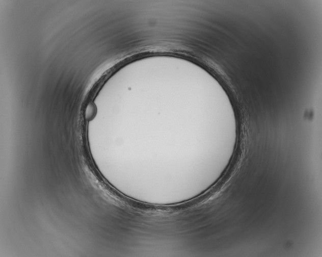 X0000115111122200911171259