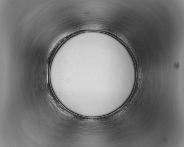 X0000115111123200911171259