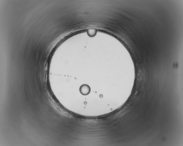 X0000115111126200911171259