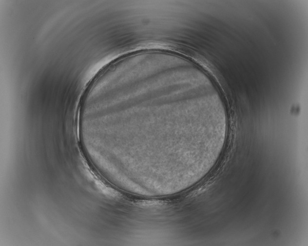 X0000115111127200911171259