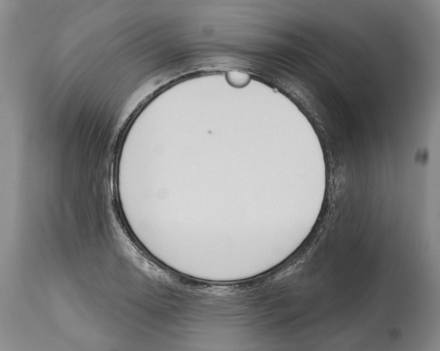 X0000115111130200911171259
