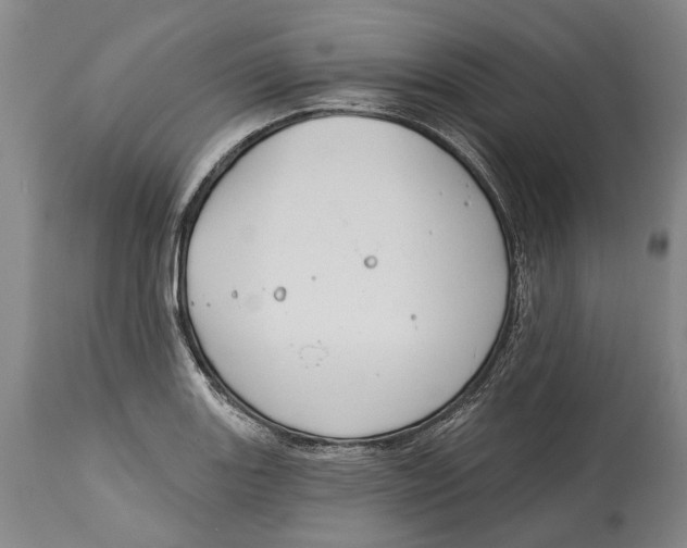 X0000115111131200911171259