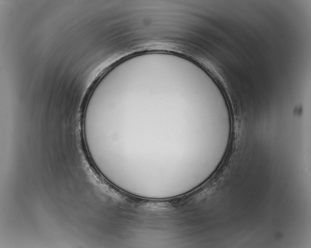 X0000115111133200911171259