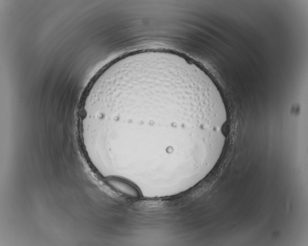 X0000115111134200911171259