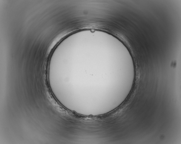 X0000115111138200911171259