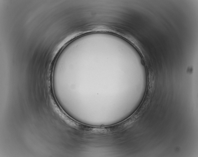X0000115111142200911171259