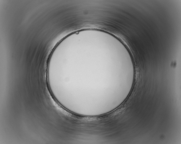 X0000115111143200911171259