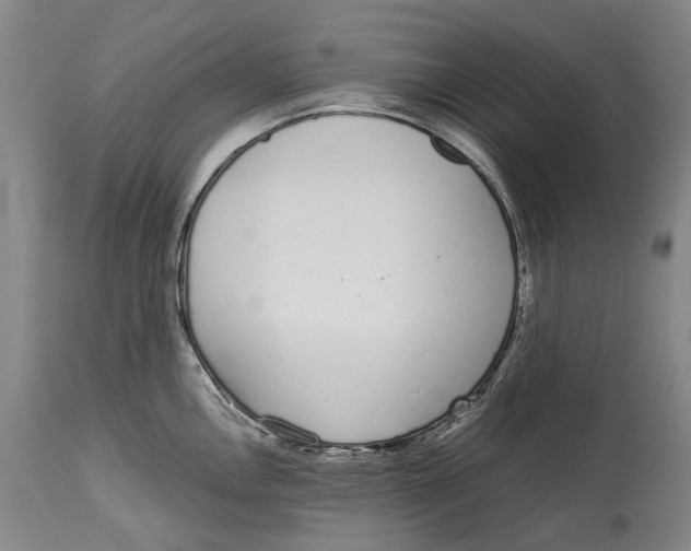 X0000115111146200911171259