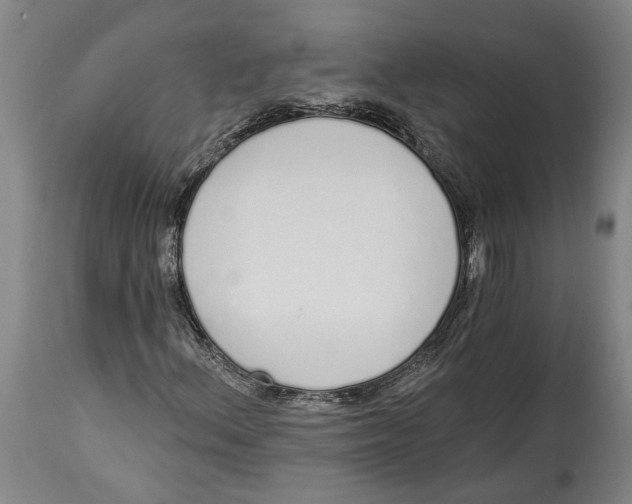 X0000115111156200911171258