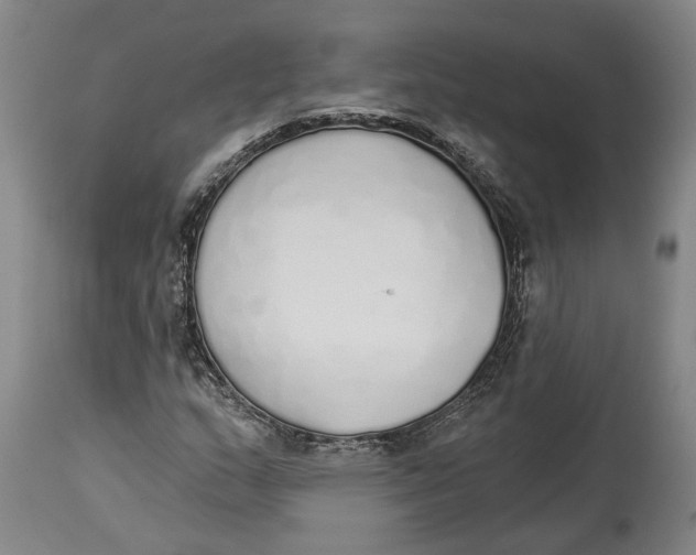 X0000115111159200911171258