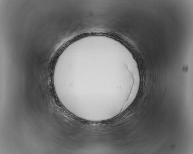 X0000115111160200911171258