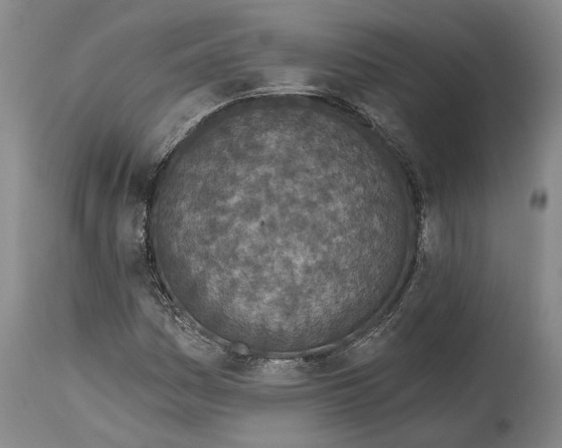 X0000115111161200911171258