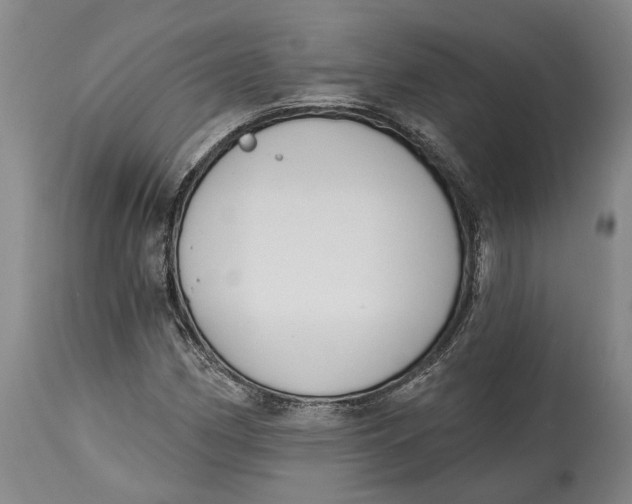 X0000115111162200911171258