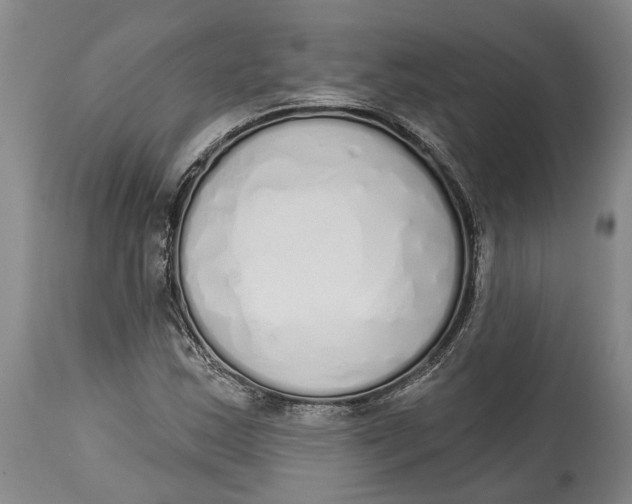 X0000115111163200911171258