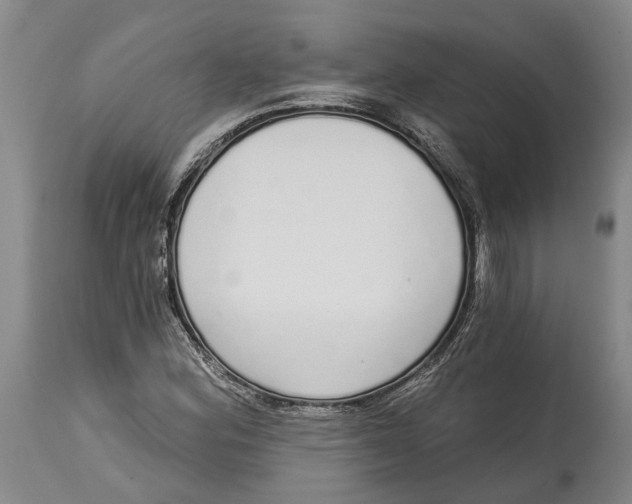X0000115111164200911171258
