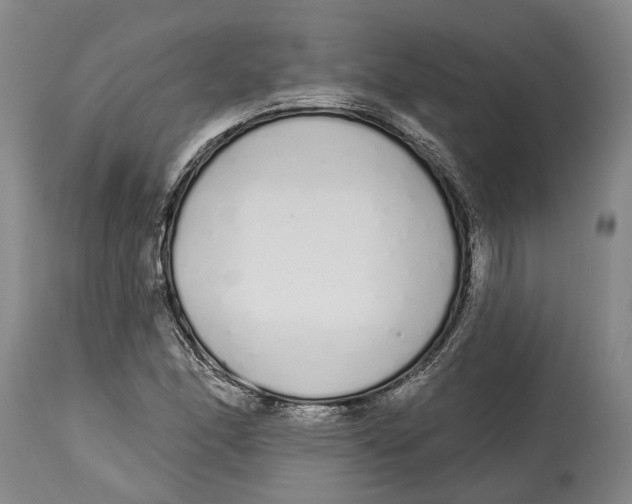 X0000115111166200911171258