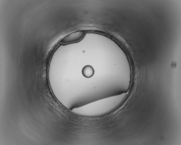 X0000115111167200911171258