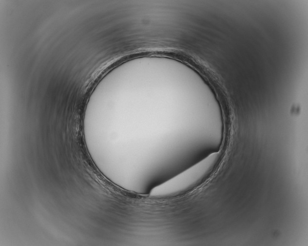 X0000115111169200911171258