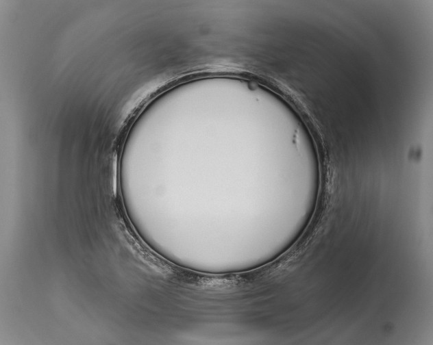 X0000115111171200911171258