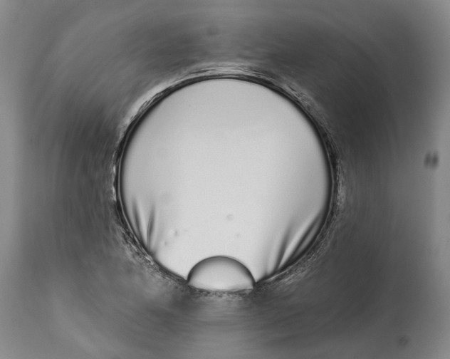 X0000115111174200911171258