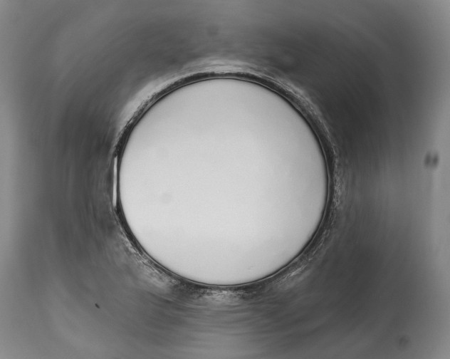 X0000115111175200911171258
