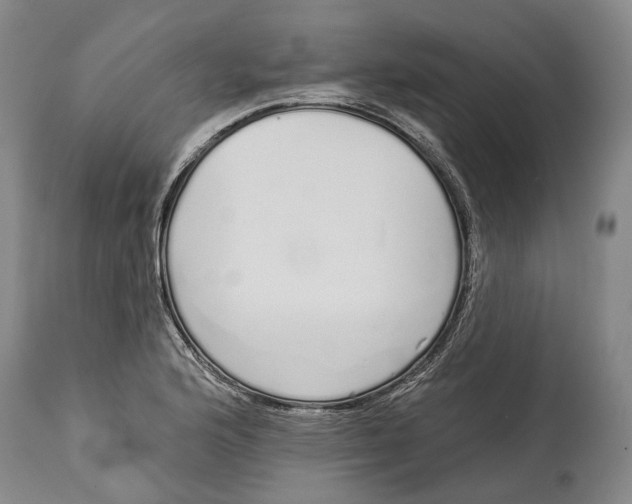X0000115111176200911171258