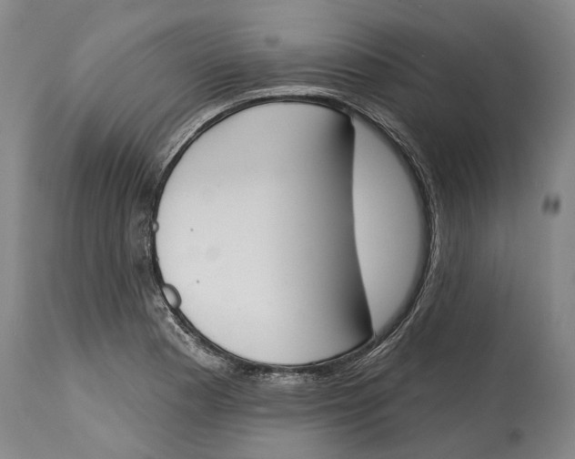 X0000115111177200911171258
