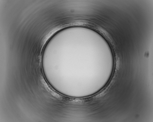 X0000115111178200911171258