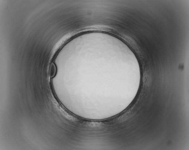 X0000115111180200911171258
