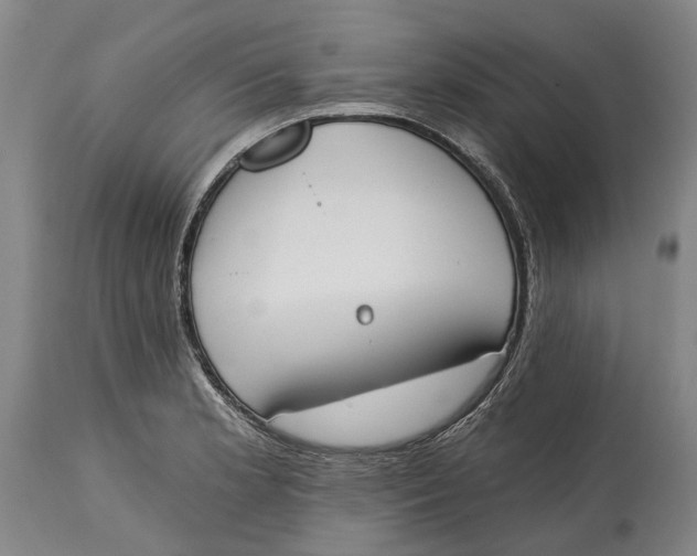 X0000115111181200911171258