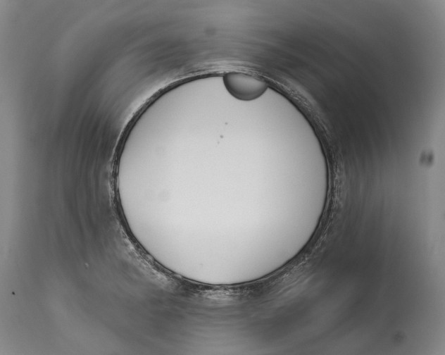 X0000115111182200911171258