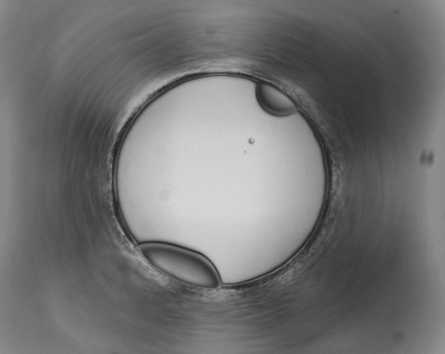 X0000115111184200911171258