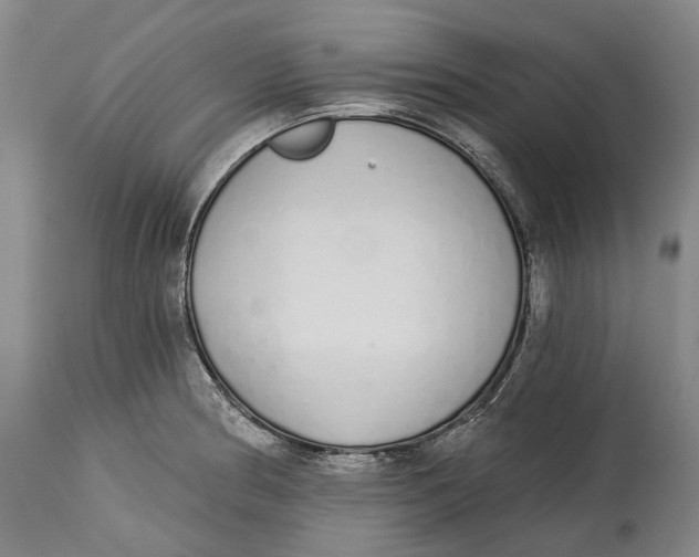 X0000115111186200911171258