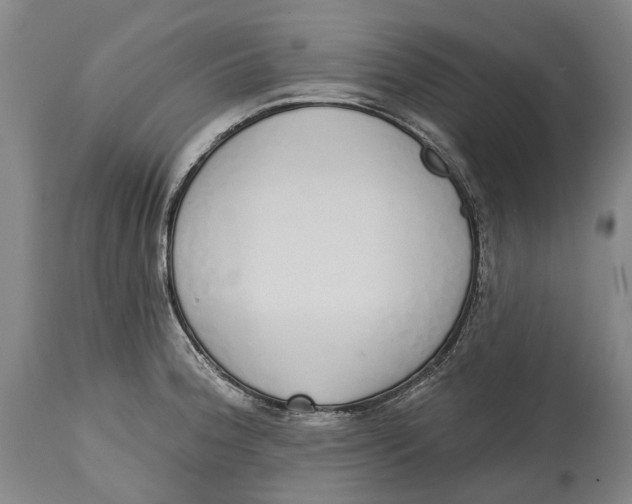 X0000115111188200911171258