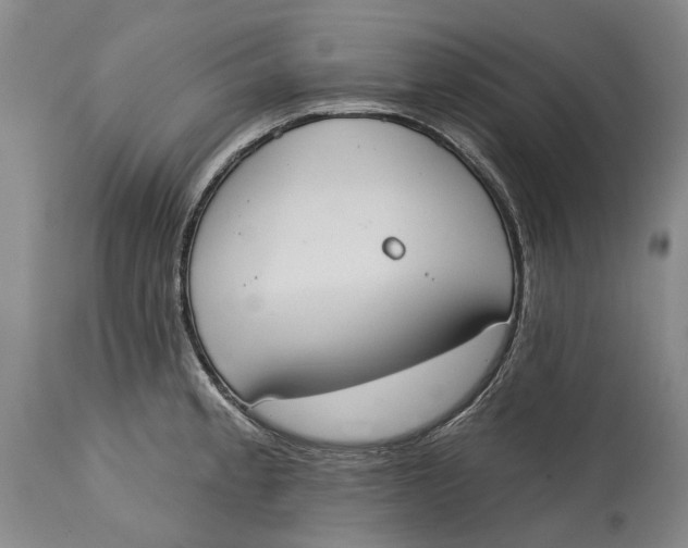 X0000115111189200911171258