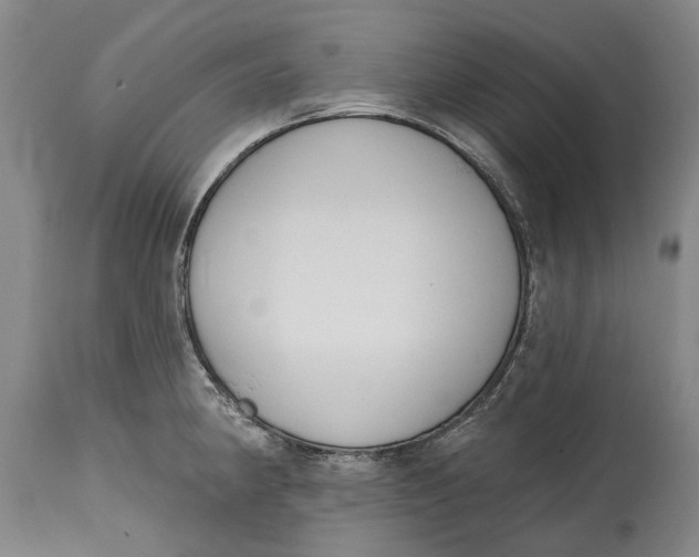 X0000115111190200911171258