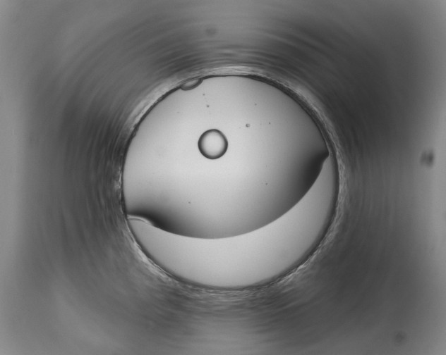 X0000115111193200911171258