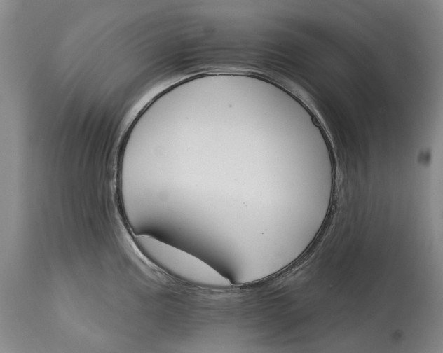 X0000115111195200911171258