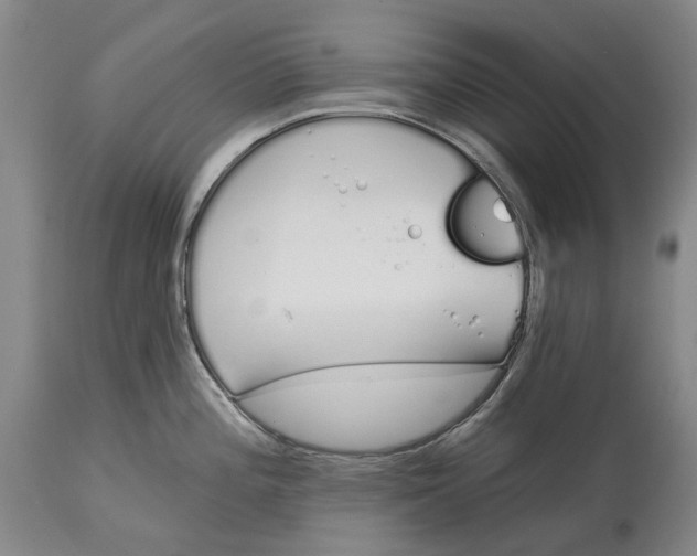 X0000115111196200911171258