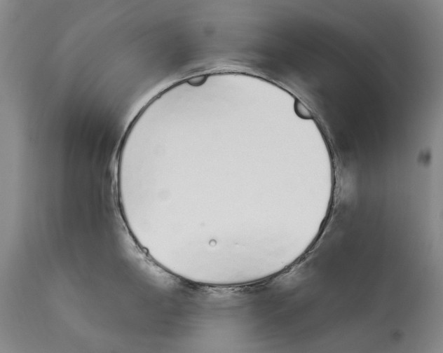 X0000115111198200911171258