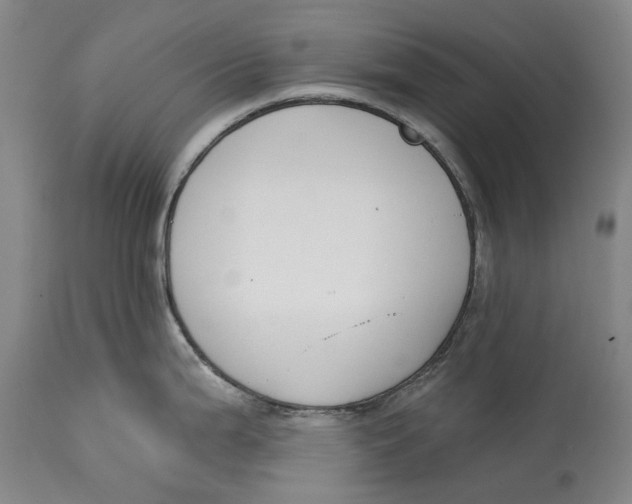 X0000115111199200911171258