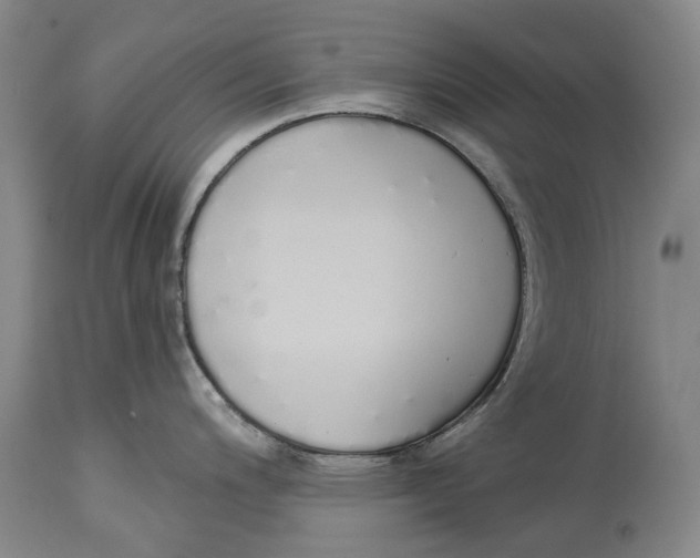 X0000115111200200911171258