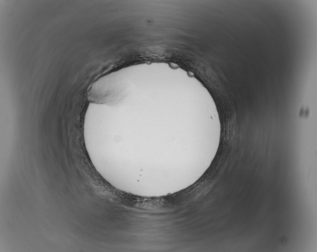X0000115111201200911171257