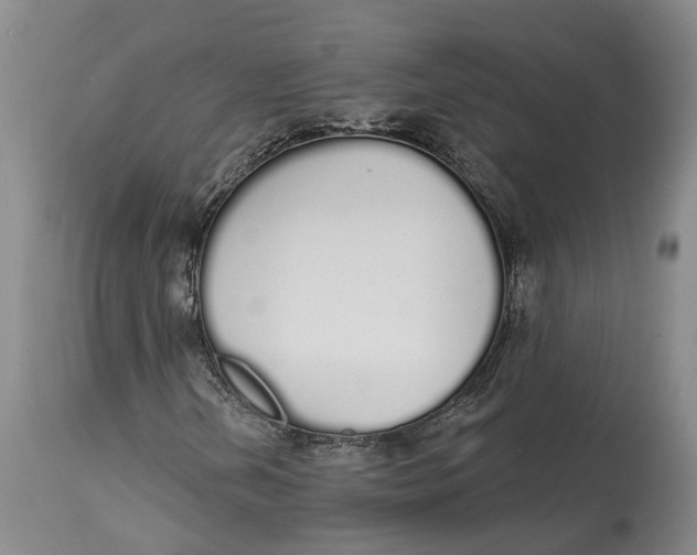 X0000115111202200911171257