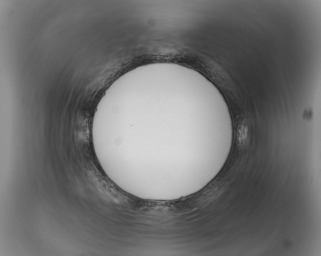 X0000115111204200911171257