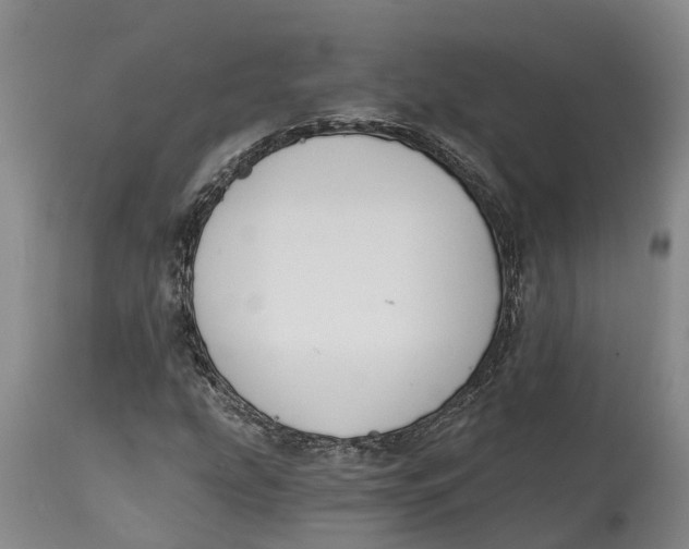 X0000115111207200911171257