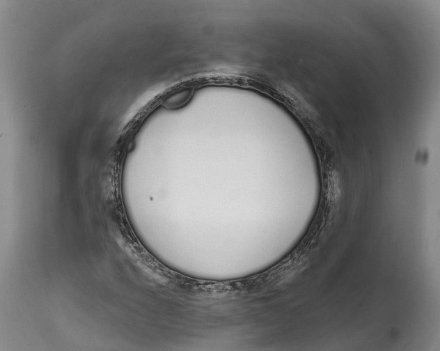 X0000115111208200911171257