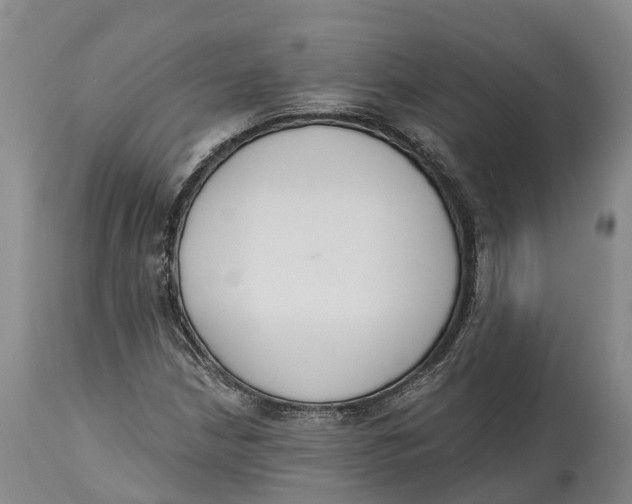 X0000115111210200911171257